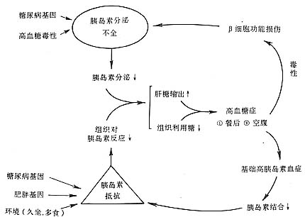 糖尿病